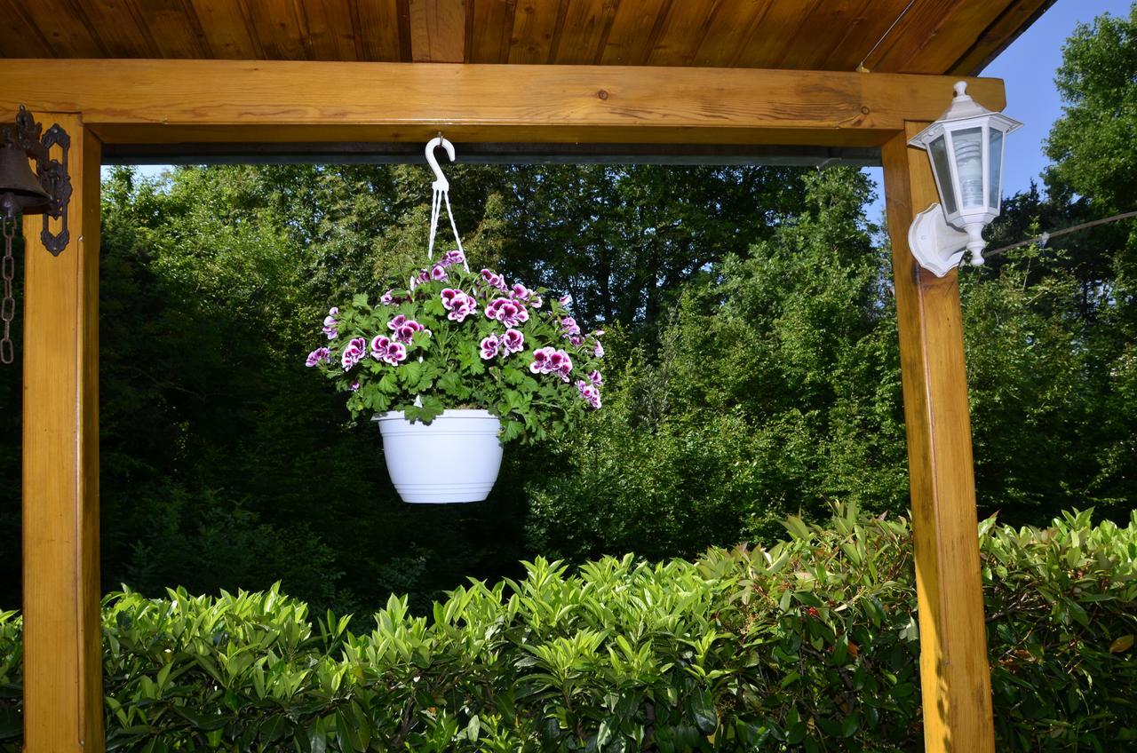 Apartment Blumen Oase マリンスカ エクステリア 写真